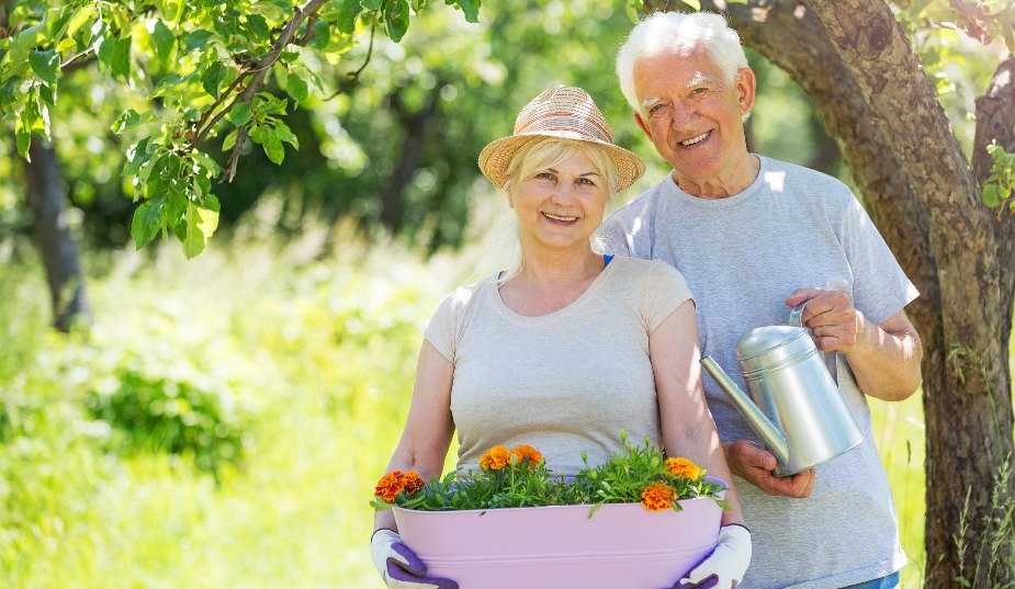 Healthy Old Age Life